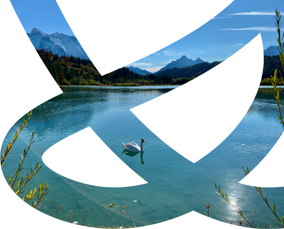 swan in the lake surounded by mountains